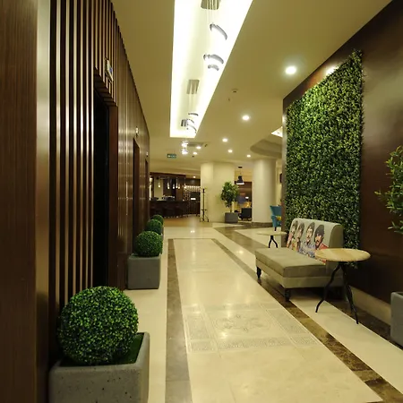 Goldcity * אלאניה