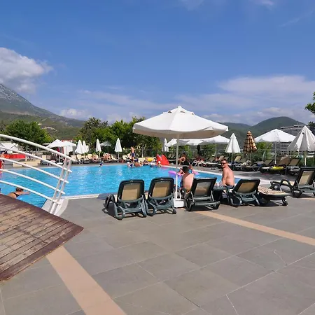 Apartament Goldcity